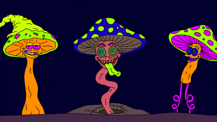 Newgrounds archive #1016784