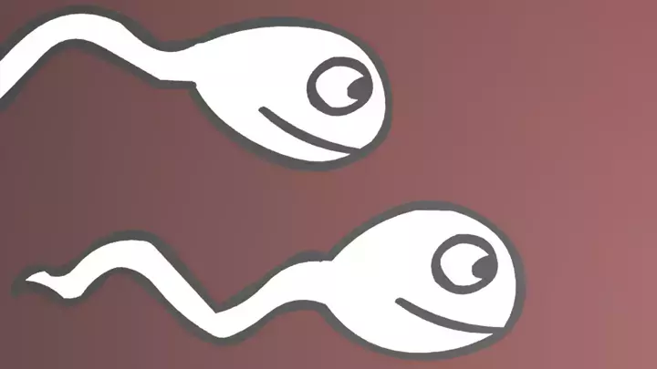 Newgrounds archive #217497