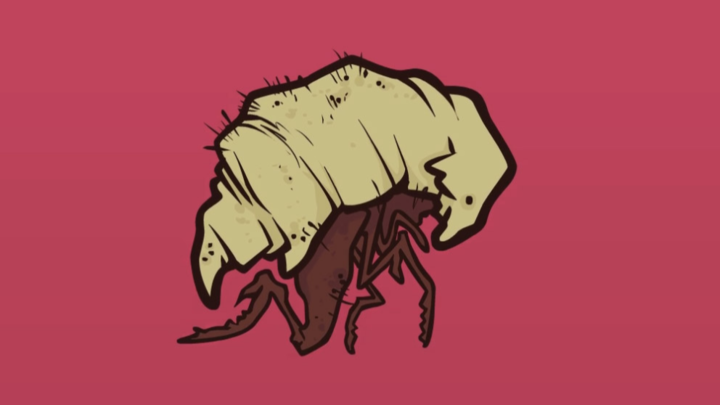 Newgrounds archive #433373